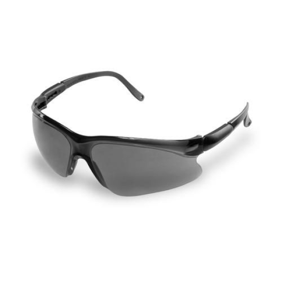 Óculos de proteção lince cinza - 00